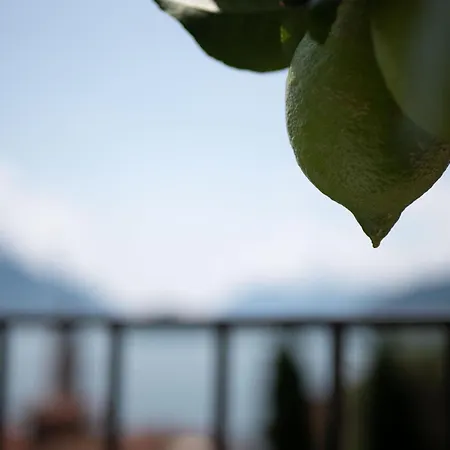 Casa Giorgio Luxury With Stunning View アパート メナッジョ