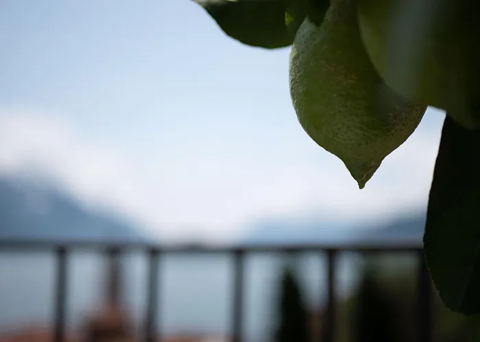 Casa Giorgio Luxury With Stunning View Daire Menaggio